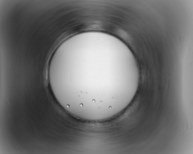 X0000088081370200706081721