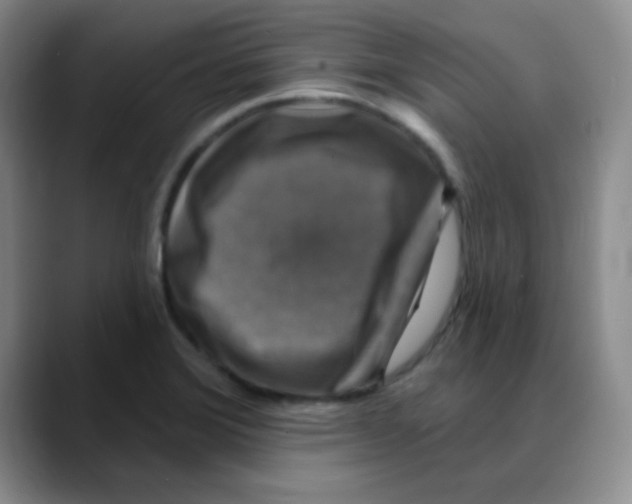 X0000088081372200706081721