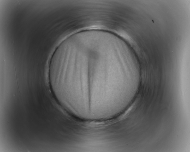 X0000088081374200706081721
