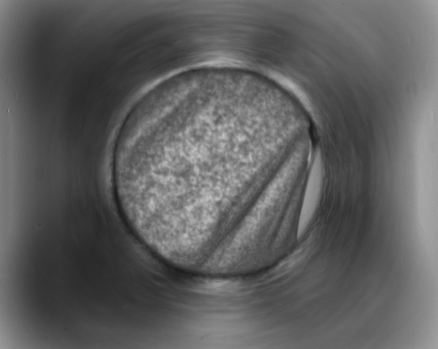 X0000088081375200706081721