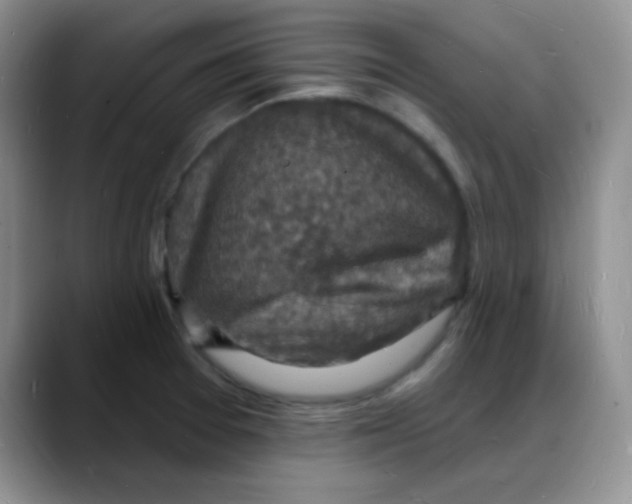 X0000088081377200706081721