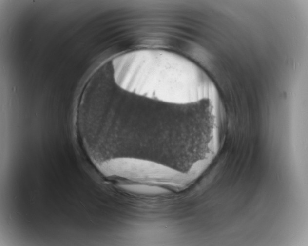 X0000088081378200706081721