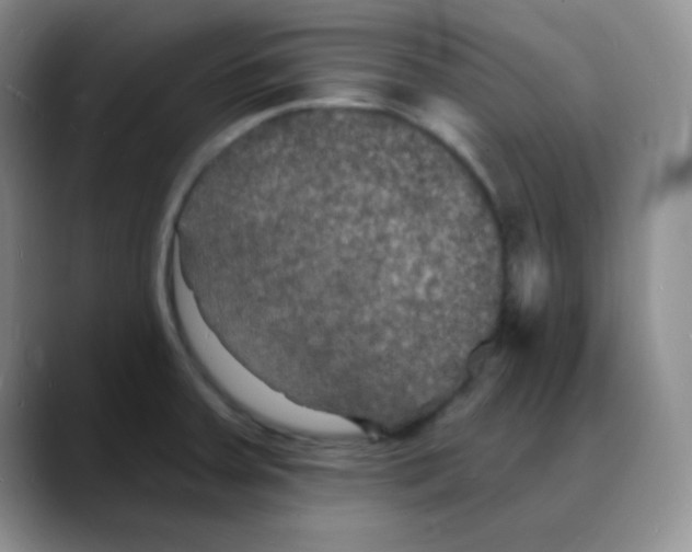 X0000088081379200706081721
