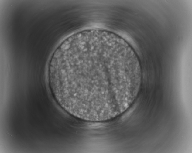 X0000088081382200706081721