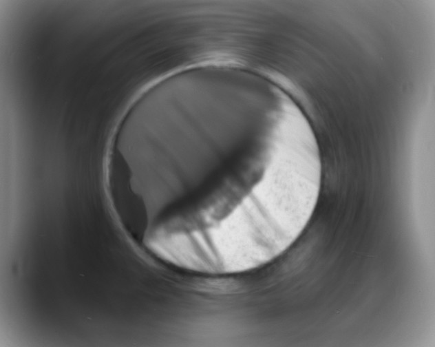 X0000088081383200706081721