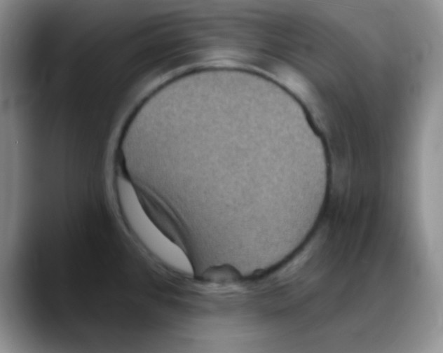 X0000088081384200706081721