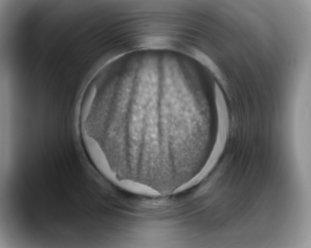 X0000088081386200706081721