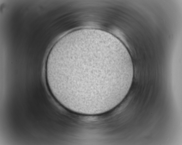 X0000088081387200706081721
