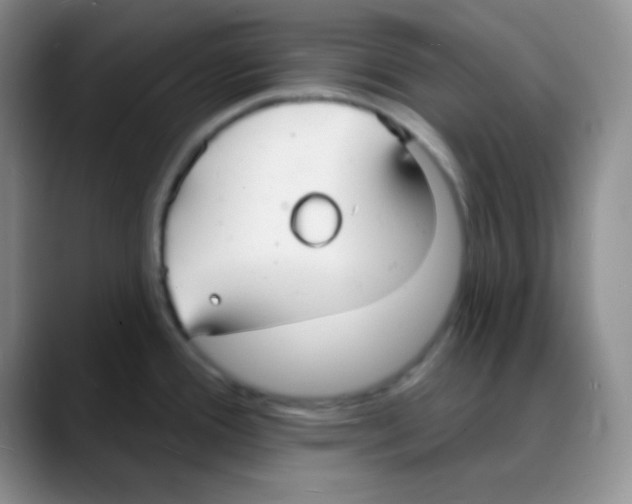 X0000088081388200706081721