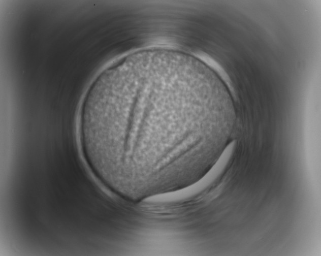 X0000088081391200706081721