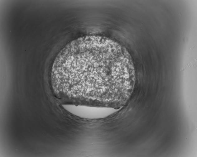 X0000088081393200706081720