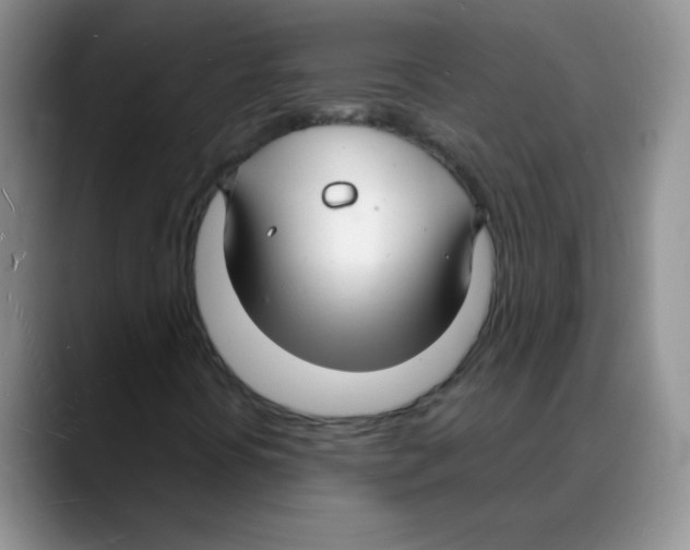 X0000088081394200706081720
