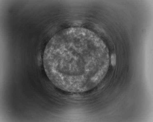 X0000088081395200706081720