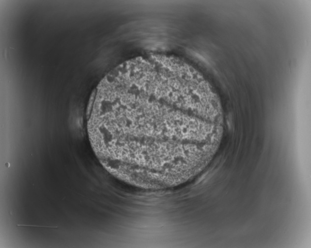 X0000088081396200706081720