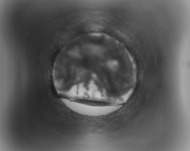 X0000088081397200706081720