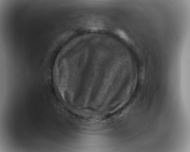 X0000088081398200706081720