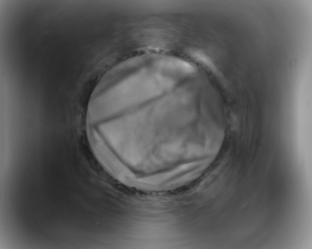 X0000088081399200706081720