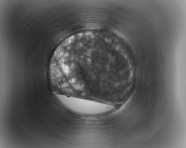 X0000088081401200706081720