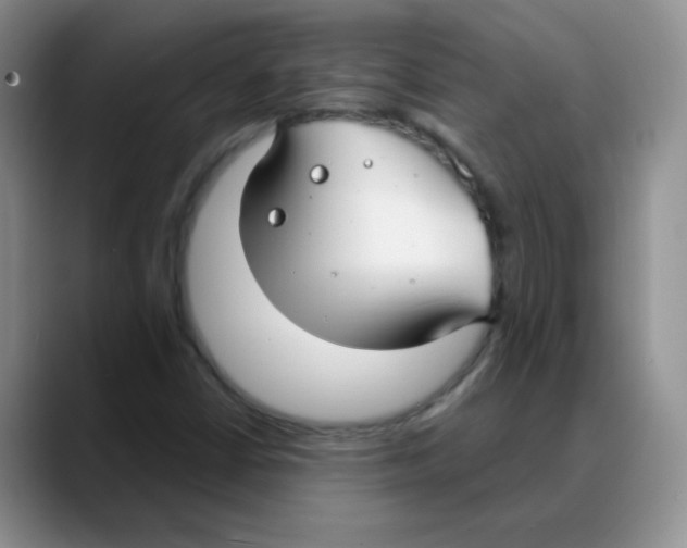 X0000088081402200706081720