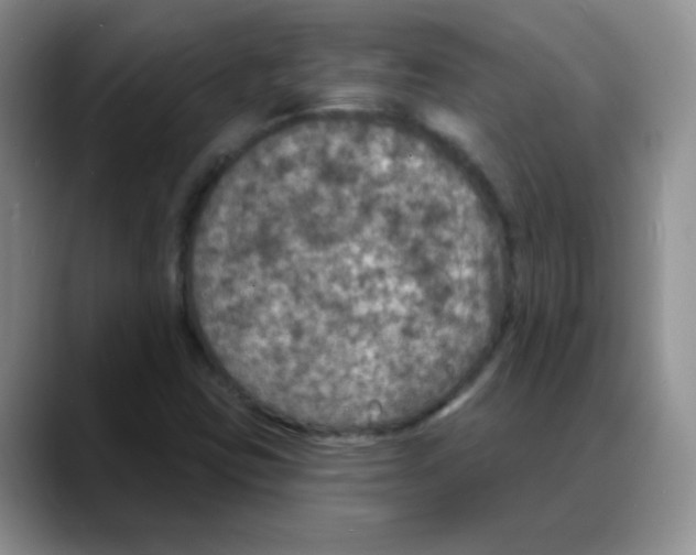 X0000088081403200706081720