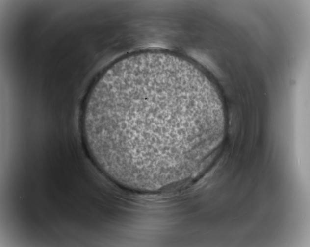 X0000088081404200706081720