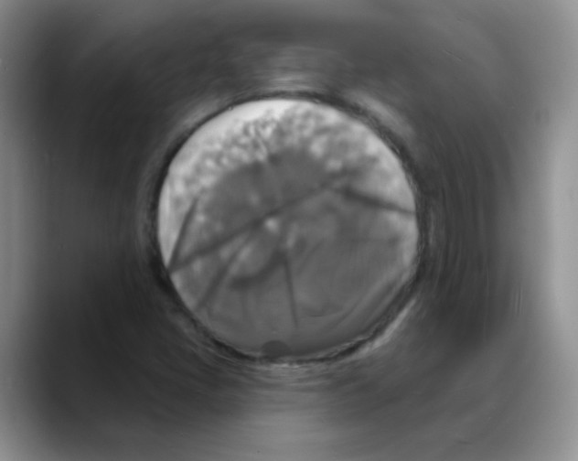 X0000088081405200706081720