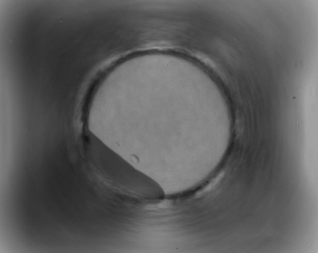 X0000088081406200706081720