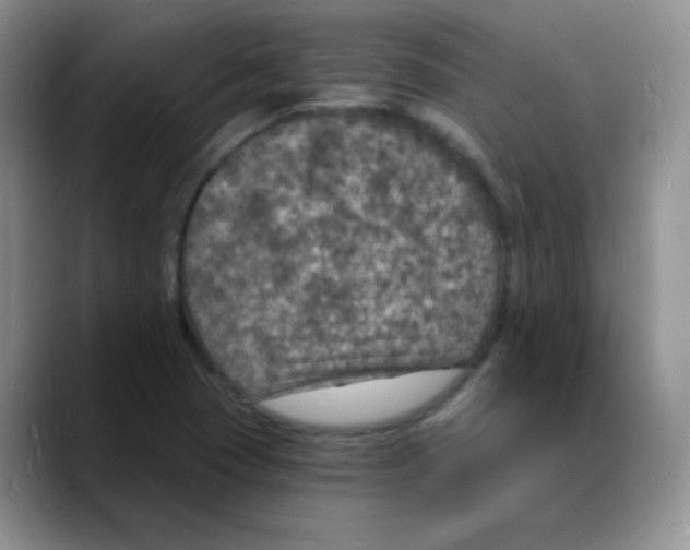 X0000088081409200706081720