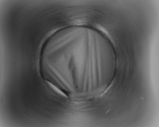 X0000088081410200706081720