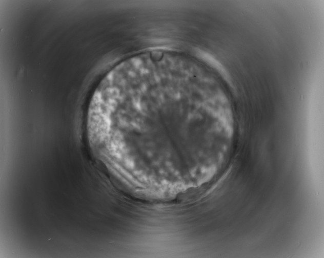X0000088081411200706081720