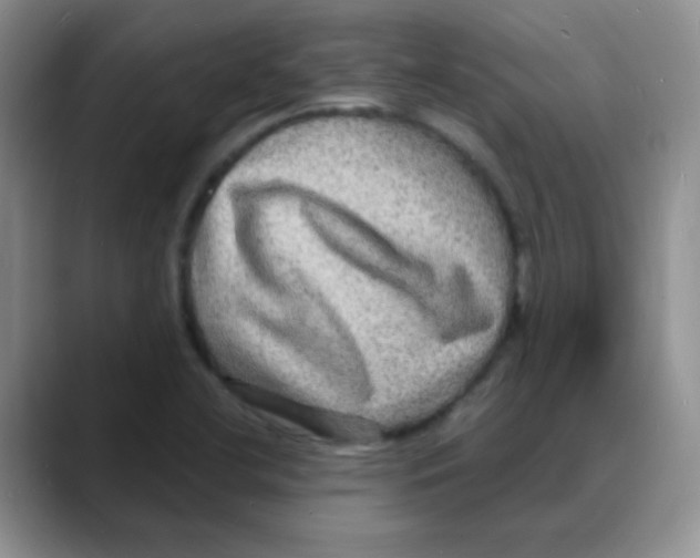 X0000088081412200706081720
