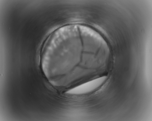 X0000088081413200706081720