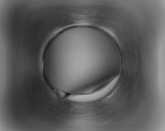X0000088081414200706081720