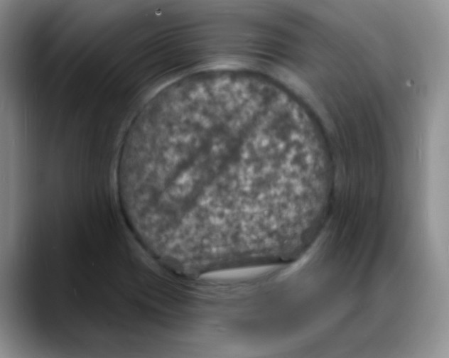 X0000088081417200706081720