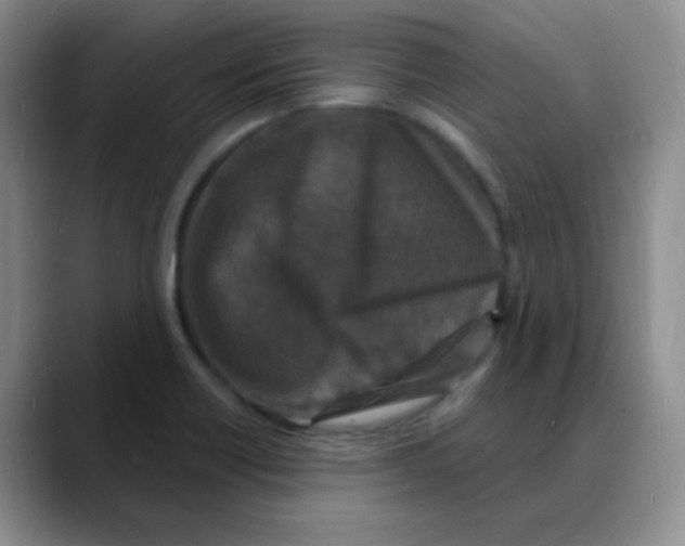 X0000088081418200706081720