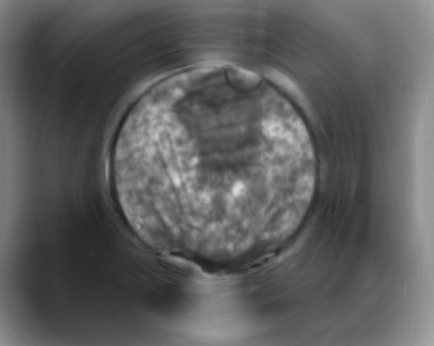 X0000088081419200706081720