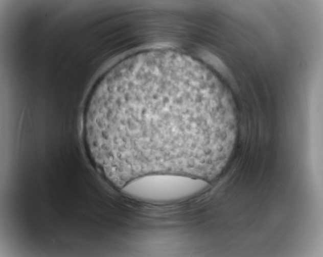 X0000088081420200706081720