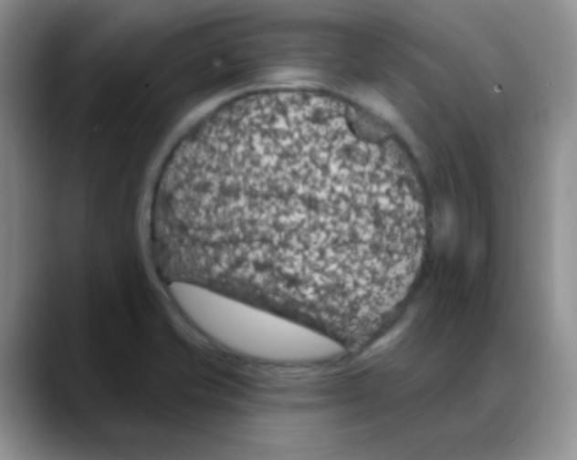 X0000088081421200706081720