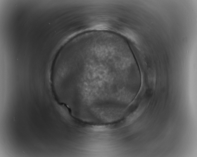X0000088081422200706081720