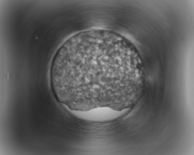 X0000088081423200706081720