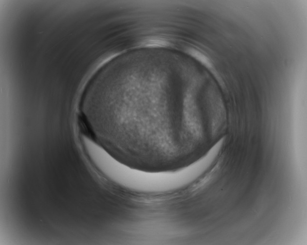 X0000088081426200706081720