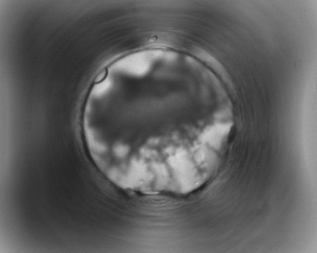 X0000088081427200706081720