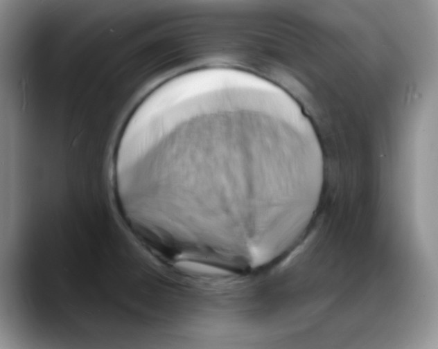 X0000088081428200706081720