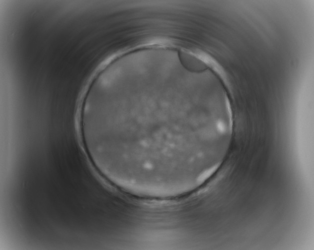 X0000088081429200706081720
