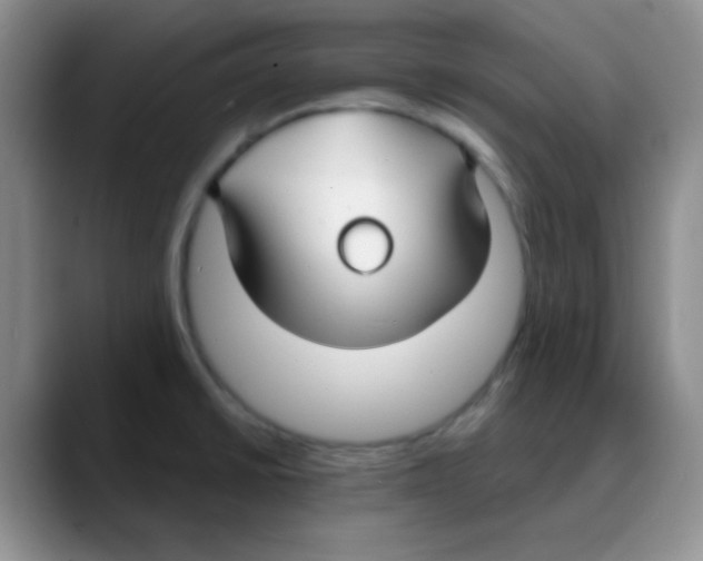 X0000088081430200706081720