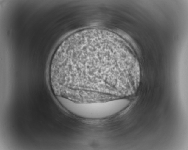 X0000088081432200706081721