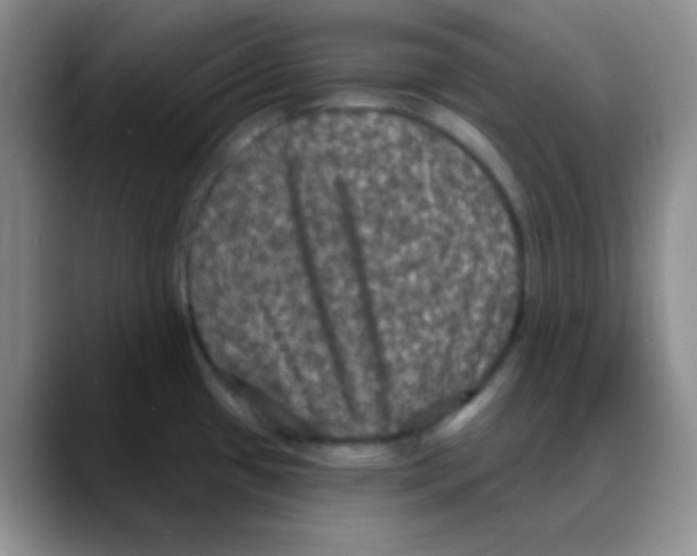 X0000088081433200706081721