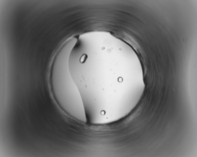 X0000088081434200706081721