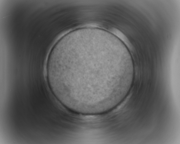 X0000088081436200706081721