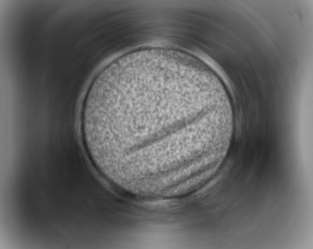 X0000088081437200706081721